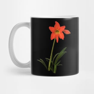 Amaryllis In Nature Mug